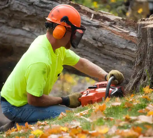 tree services Passamaquoddy Pleasant Point